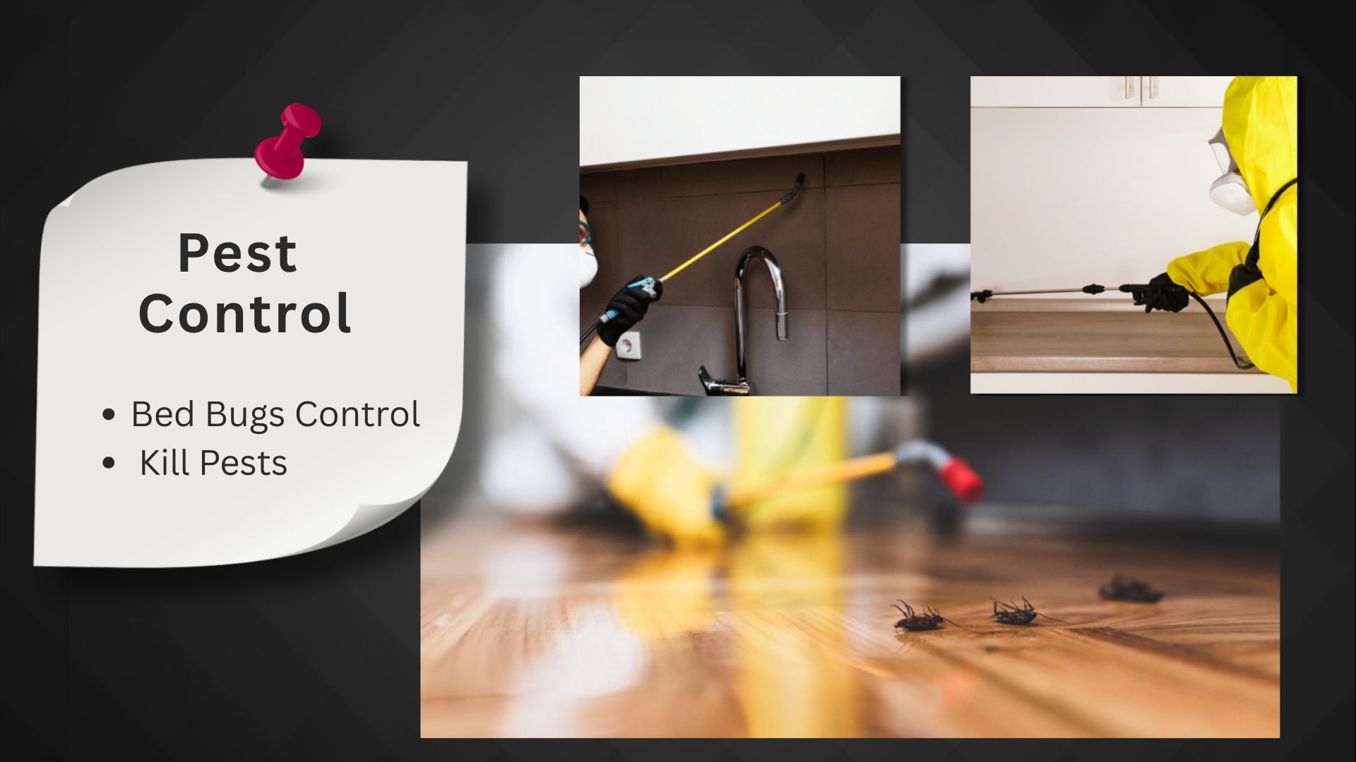 Professional pest control services in indore by The Classy
